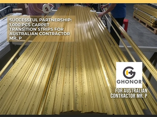 Mastering Custom Extrusions: A Carpet Transition Strip Success Story